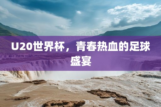 U20世界杯，青春热血的足球盛宴