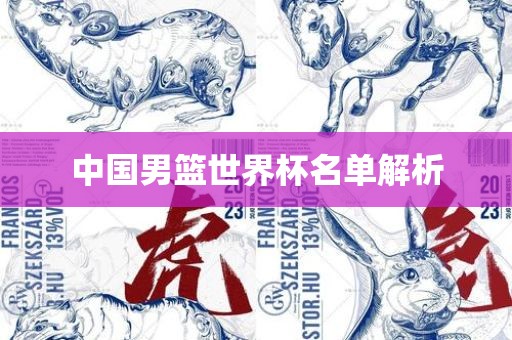 中国男篮世界杯名单解析洪湖市顺升工程机械租赁有限公司