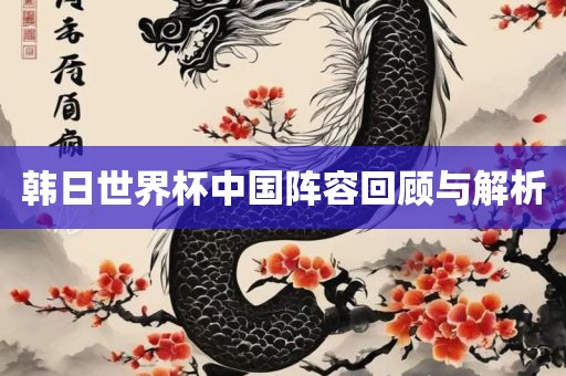 韩日世界杯中国阵容回顾与解析