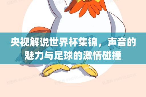 央视解说世界杯集锦，声音的魅力与足球的激情碰撞