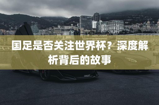 国洪湖市顺升工程机械租赁有限公司足是否关注世界杯？深度解析背后的故事