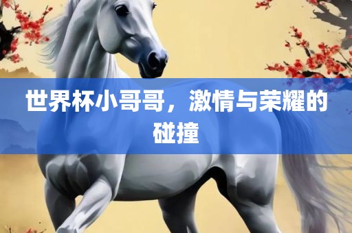 世界杯小哥哥，激情与荣耀的碰撞