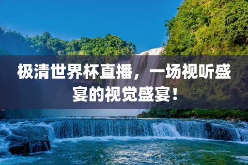极清世界杯直播，一场视听盛宴的视觉盛宴！