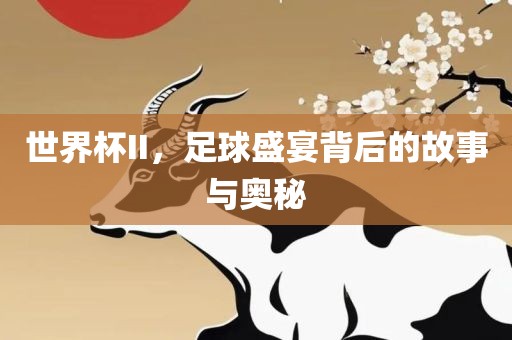 世界杯II，足球盛宴背后的故事与奥秘