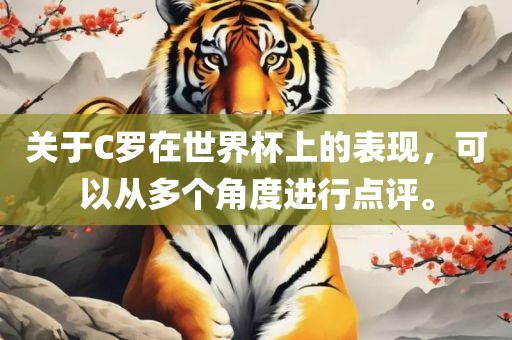 关于C罗在世界杯上的表现，可以从多个角度进行点评。