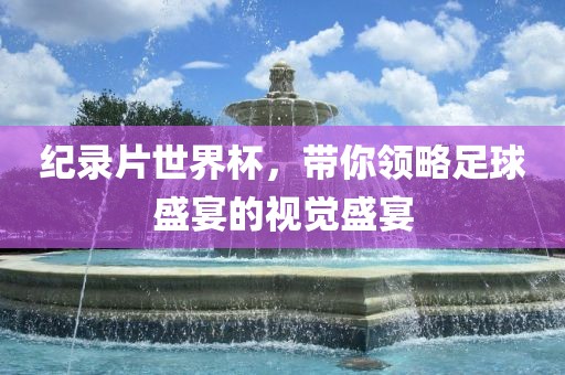 洪湖市顺升工程机械租赁有限公司纪录片世界杯，带你领略足球盛宴的视觉盛宴