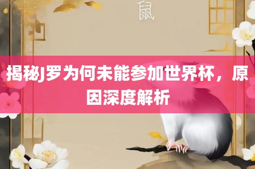 揭秘J罗为何未能参加世界杯，原因深度解析洪湖市顺升工程机械租赁有限公司