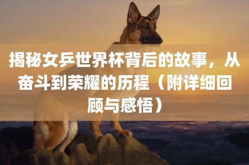 揭秘女乒世界杯背后的故事，从奋斗到荣耀的历程（附详细回顾与感悟）