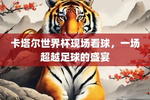 卡塔尔世界杯现场看球，一场超越足球的盛宴