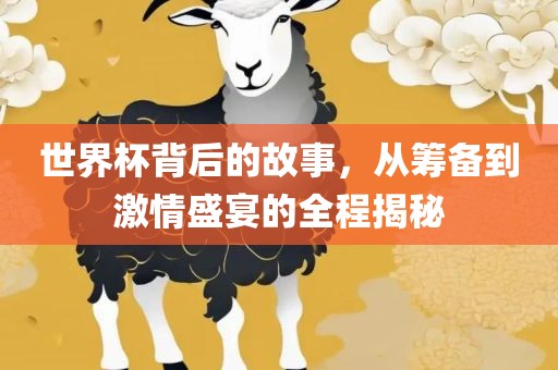 世界杯背后的故事，从筹备到激情盛宴的全程揭秘