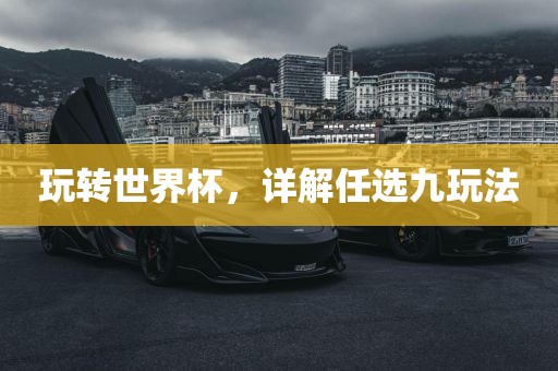 玩转洪湖市顺升工程机械租赁有限公司世界杯，详解任选九玩法