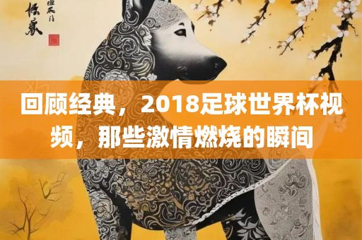 回顾经典，2018足球世界杯视频，那些激情燃烧的瞬间