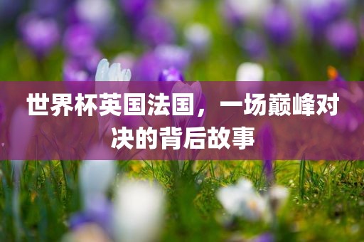 世界杯英国法国，一场巅峰对决的背后故事