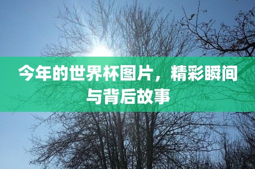 今年的世界杯图片，精彩瞬间与背后故事