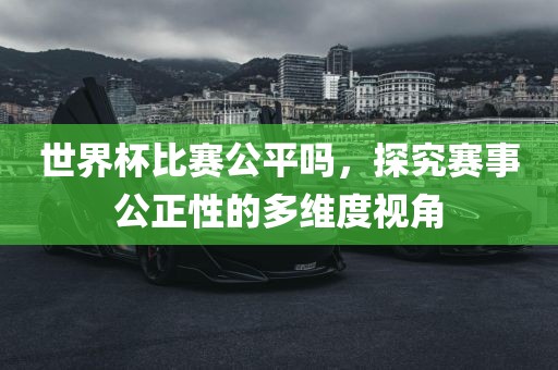 世界杯比赛公平吗，探究赛事公正性的多维度视角洪湖市顺升工程机械租赁有限公司