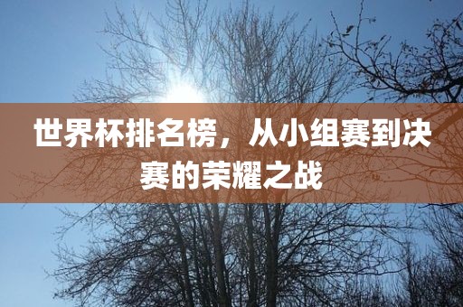 世界杯排名榜，从小组赛到决赛的荣耀之战
