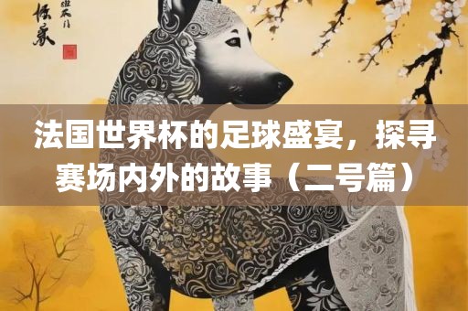 法国世界杯的足球盛宴，探寻赛场内外的故事（二号篇）