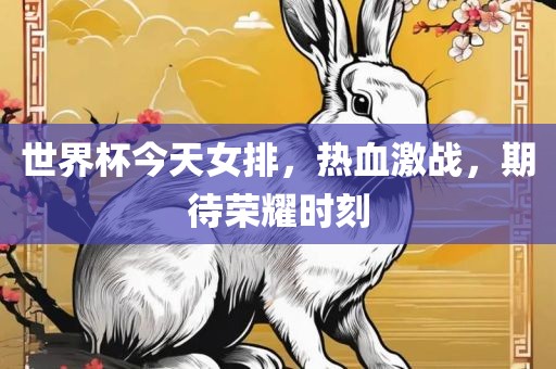 世界杯今天女排，热血激战，期待荣耀时刻