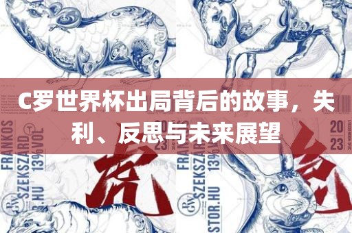 C罗世界杯出局背后的故事，失利、反思与未来展望洪湖市顺升工程机械租赁有限公司