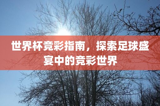 世界杯竞彩指南，探索足球盛宴中的竞彩世界