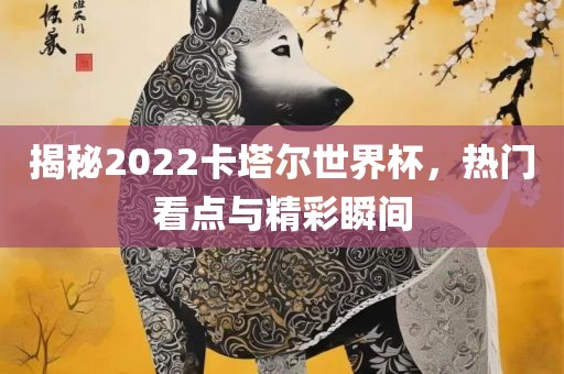 揭秘2022卡塔尔世界杯，热门看点与精彩瞬间