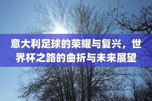 意大利足球的荣耀与复兴，世界杯之路的曲折与未来展望
