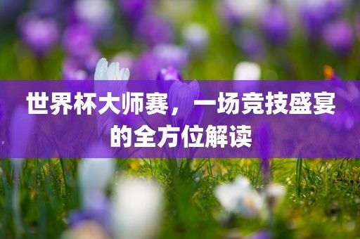 世界杯大师赛，一场竞技盛宴的全方位解读