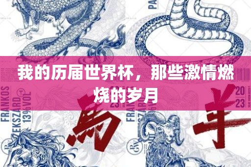 我的历届世界杯，那些激情燃烧的岁月