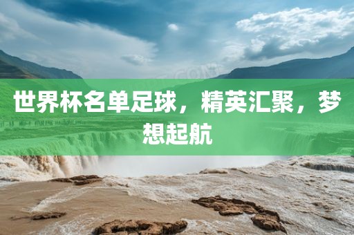 世界杯名单足球，精英汇聚，梦想起航