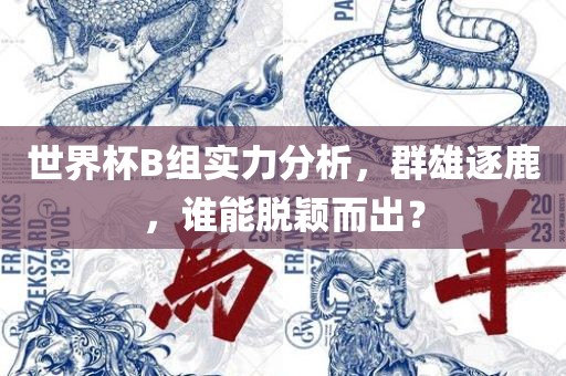 世界杯B组实力分析，群雄逐鹿，谁能脱颖而出？