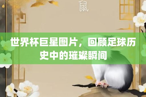 世界杯巨星图片，回顾足球历史洪湖市顺升工程机械租赁有限公司中的璀璨瞬间