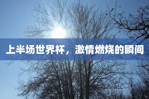 上半场世界杯，激情燃烧的瞬间