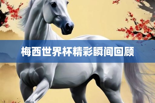 梅西世界杯精彩瞬间回顾