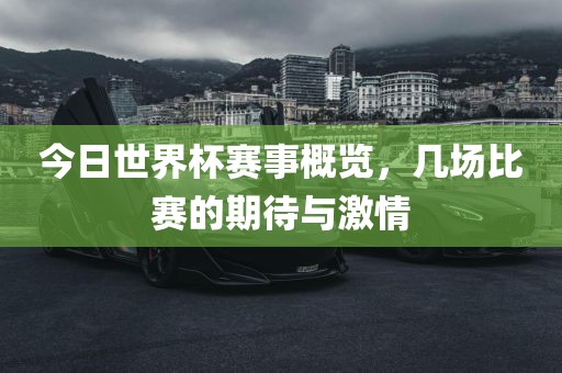 今日世界杯赛事概览，几场比赛的期待与激情