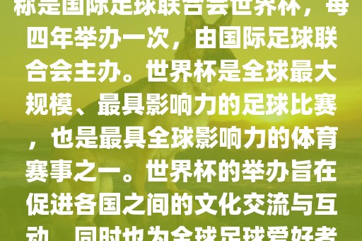 世界杯是一项国际足球赛事，全称是国际足球联合会世界杯，每四年举办一次，由国际足球联合会主办。世界杯是全球最大规模、最具影响力的足球比赛，也是最具全球影响力的体育赛事之一。世界杯的举办旨在促进各国之间的文化交流与互动，同时也为全球足球爱好者带来一场精彩的足球盛宴。