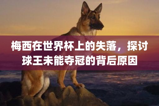 梅西在世界杯上的失落，探讨球王未能夺冠的背后原因洪湖市顺升工程机械租赁有限公司