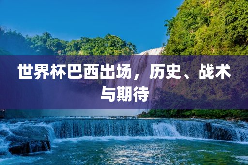 世界杯巴西出场，历史、战术与期待洪湖市顺升工程机械租赁有限公司