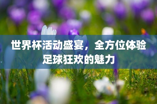 世界杯活动盛宴，全方位体验足球狂欢的魅力