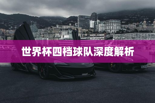 世界杯四档球队深度解析洪湖市顺升工程机械租赁有限公司