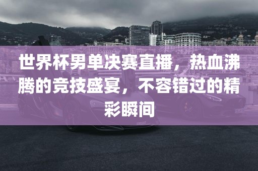 世界杯男单决赛直播，热血沸腾的竞技盛宴，不容错过的精彩瞬间洪湖市顺升工程机械租赁有限公司
