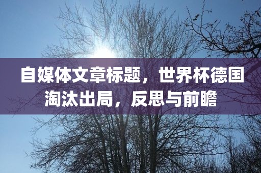 自媒体文章标题，世界杯洪湖市顺升工程机械租赁有限公司德国淘汰出局，反思与前瞻