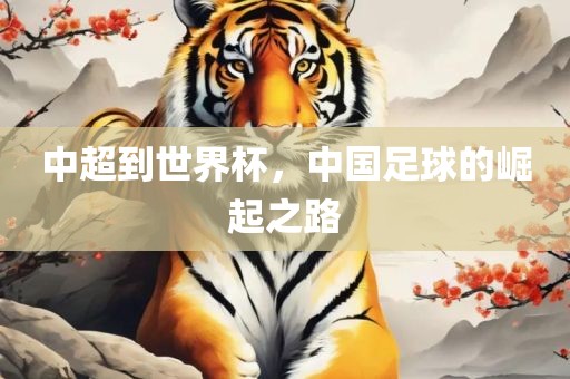 中超到世界杯，中国足球的崛起之路