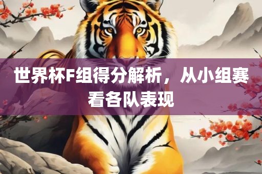世界杯F组得分解析，从小组赛看各队表现