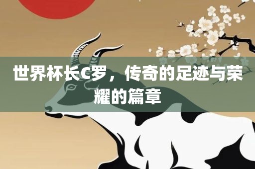 世界杯长C罗，传奇的足迹与荣耀的篇章洪湖市顺升工程机械租赁有限公司