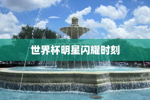 世界杯明星闪耀时刻