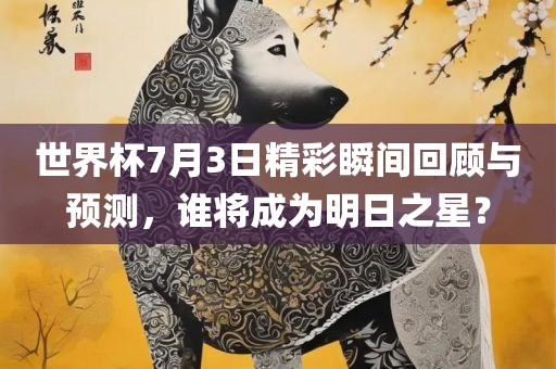 世界杯7月3日精彩瞬间回顾与预测，谁将成为明日之星？