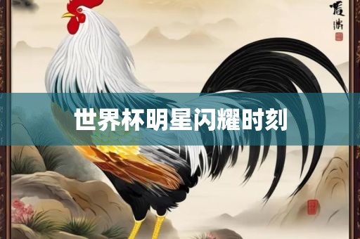 世界杯明星闪耀时刻