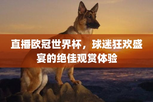 直播欧冠世界杯，球迷狂欢盛宴的绝佳观赏体验