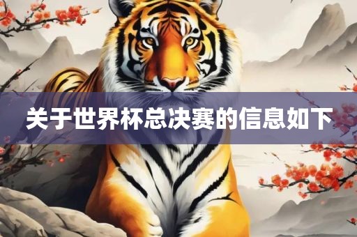 关于世界杯总决赛的信息如下