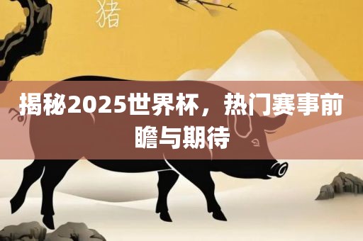 揭秘2025世界杯，热门赛事前瞻与期待洪湖市顺升工程机械租赁有限公司